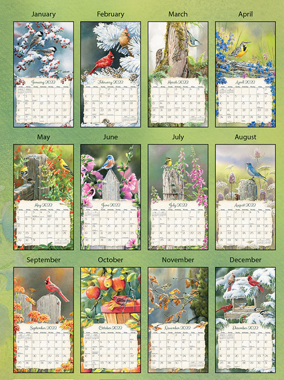 LANG Wall Calendar 2022 Songbirds by Susan Bourdet | Nextra Dianella
