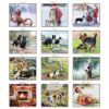 Picture of PINE RIDGE Wall Calendar 2022 Must Love Dogs by The Macneil Studio