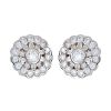 Picture of Sybella Jewellery Daisy Silver Stud Earrings.