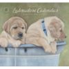 Picture of LEGACY Wall Calendar 2022 Labradors Calender by Michelle Oude Avenhuis