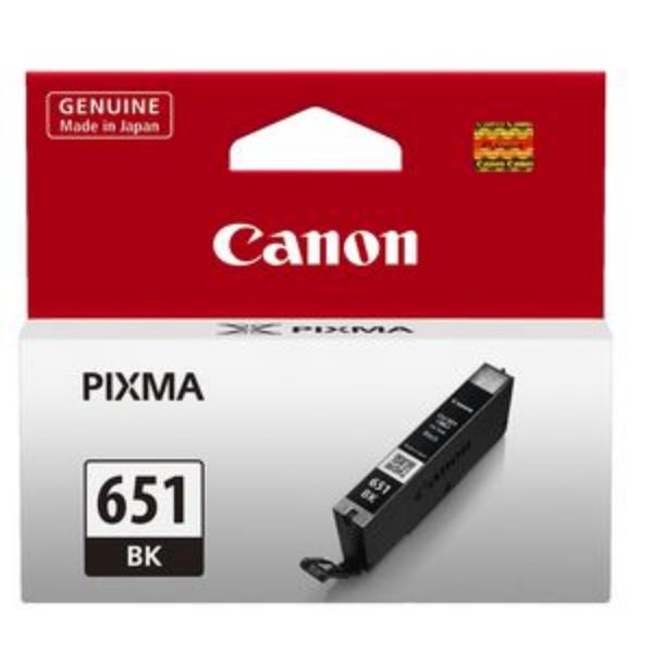 Picture of CANON CLI651 BLANK INK CARTRIDGES