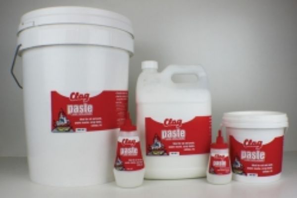 Picture of GLUE CLAG PASTE 300ML