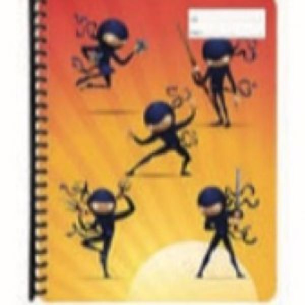 Picture of Display Folder A4 Refillable Ninjas