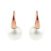 Picture of Sybella Jewellery Bella Rose Gold Drop Earings