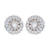 Picture of Sybella Jewellery Daisy Silver Stud Earrings.