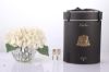 Picture of Cote Noire Hydrangers Champagne Clear Round Vase