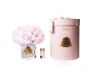 Picture of Cote Noire 12 Roses French Pink Clear Vase