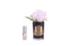 Picture of COTE NOIRE - PERFUMED NATURAL TOUCH ROSE BUD - BLACK - FRENCH PINK