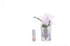 Picture of Cote Noire N Rose Bud French Pink Clear Glass w/Si