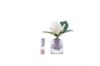 Picture of Cote Noire Rose Bud Ivory White Clear Glass W/Si