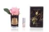Picture of COTE NOIRE - PERFUMED NATURAL TOUCH ROSE BUD - BLACK - WHITE PEACH