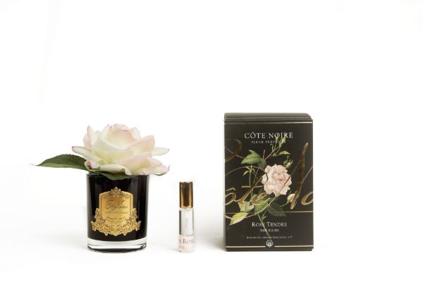Picture of COTE NOIRE - PERFUMED NATURAL TOUCH SINGLE ROSE - BLACK - PINK BLUSH