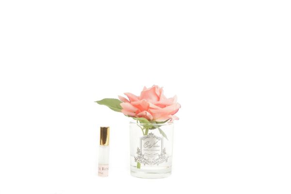 Picture of COTE NOIRE - PERFUMED NATURAL TOUCH SINGLE ROSE - CLEAR - WHITE PEACH