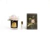 Picture of COTE NOIRE - PERFUMED NATURAL TOUCH SINGLE ROSE - BLACK - FRENCH PINK