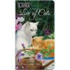 Picture of Lang 2 year Pocket Planner 2024/2025 Love of Cats