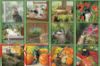 Picture of Lang Wall Calendar 2024 Cats in the Country