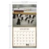 Picture of Lang Wall Calendar 2024 Cows Cows Cows