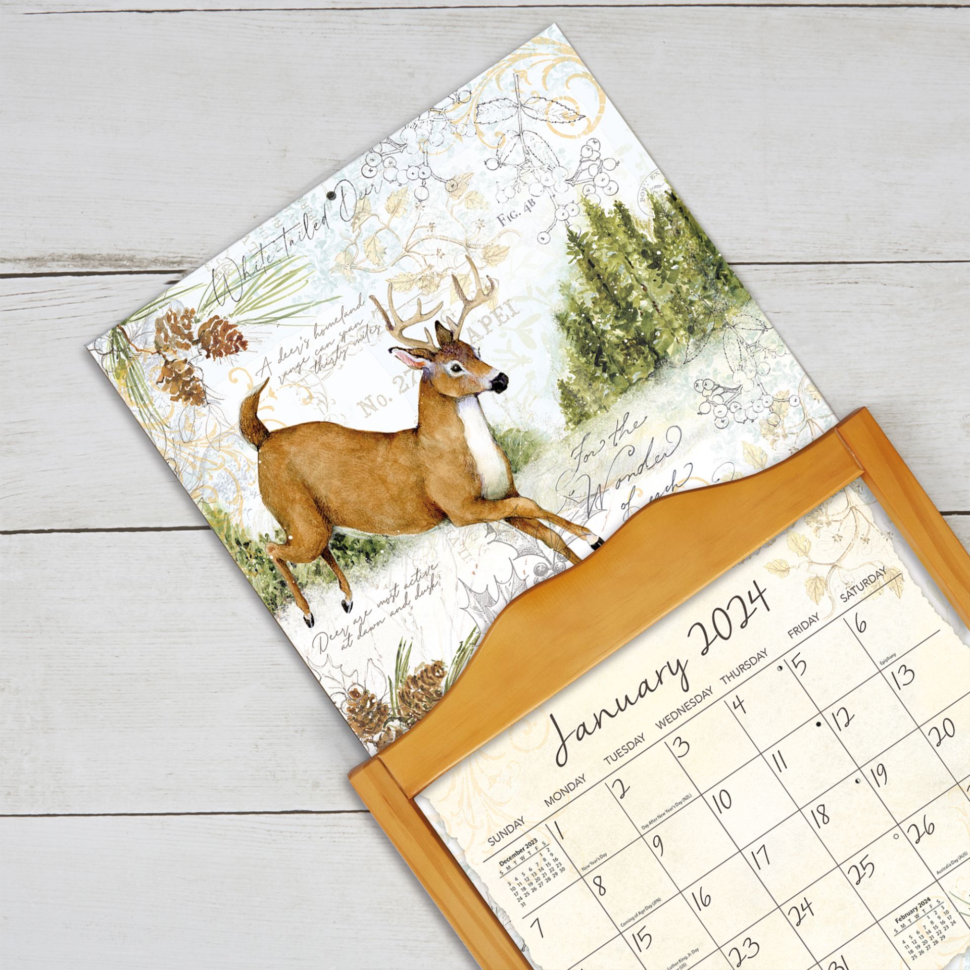 Lang Wall Calendar 2024 Field Guide Nextra Dianella