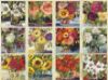 Picture of Lang Wall Calendar 2024 Gallery Florals