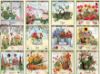 Picture of Lang Wall Calendar 2024 Garden Botanicals