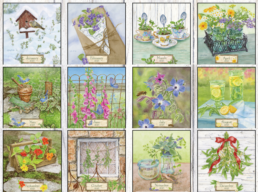 Lang Wall Calendar 2024 Herb Garden Nextra Dianella