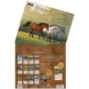 Picture of Lang Wall Calendar 2024 Horses in the Mist