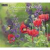 Picture of Lang Wall Calendar 2024 Hummingbirds