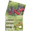 Picture of Lang Wall Calendar 2024 Hummingbirds