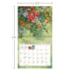 Picture of Lang Wall Calendar 2024 Hummingbirds