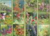 Picture of Lang Wall Calendar 2024 Hummingbirds