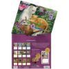Picture of Lang Wall Calendar 2024 Love of Cats
