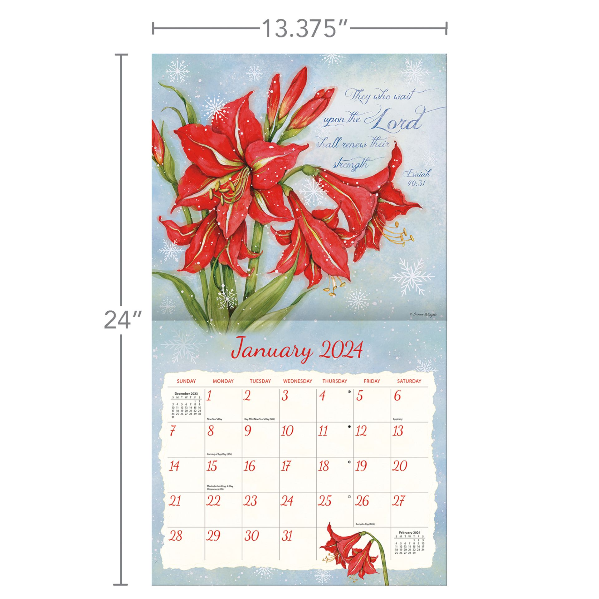 Lang Wall Calendar 2025 Natures Grace Nextra Dianella