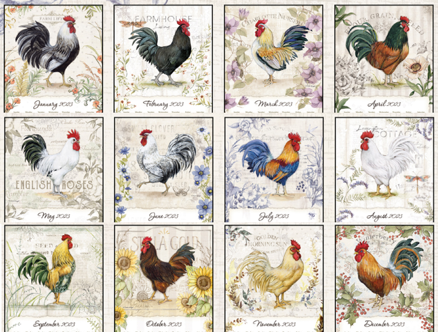 Lang Wall Calendar 2024 Proud Rooster Nextra Dianella