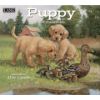 Picture of Lang Wall Calendar 2024 Puppy