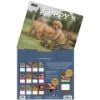 Picture of Lang Wall Calendar 2024 Puppy