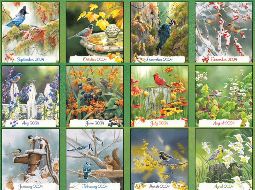 Lang Wall Calendar 2024 Songbirds Nextra Dianella