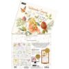 Picture of Lang Wall Calendar 2024 Watercolor Seasons