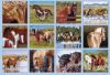 Picture of Legacy Wall Calendar 2024 Horses