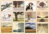 Picture of Legacy Wall Calendar 2024 Living in the Light