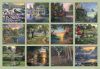 Picture of Legacy Calendar 2024 Peace & Tranquility