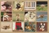 Picture of Legacy Wall Calendar 2024 Puppies