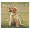Picture of Legacy Wall Calendar 2024 Puppies