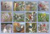Picture of Legacy Wall Calendar 2024 Songbirds