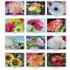 Picture of Pine Ridge Wall Calendar 2024 Beauty in Bloom