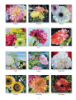 Picture of Pine Ridge Wall Calendar 2024 Beauty in Bloom