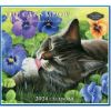 Picture of Pine Ridge Wall Calendar 2024 The Cats Meow