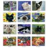 Picture of Pine Ridge Wall Calendar 2024 The Cats Meow