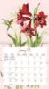Picture of 2026 Lang EDEN Calendar By Susan Winget