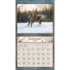 Picture of 2026 Lang HORSES IN THE MIST Calendar By Persis Clayton Weirs