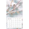 Picture of 2026 Lang HUMMINGBIRDS Calendar By Susan Bourdet